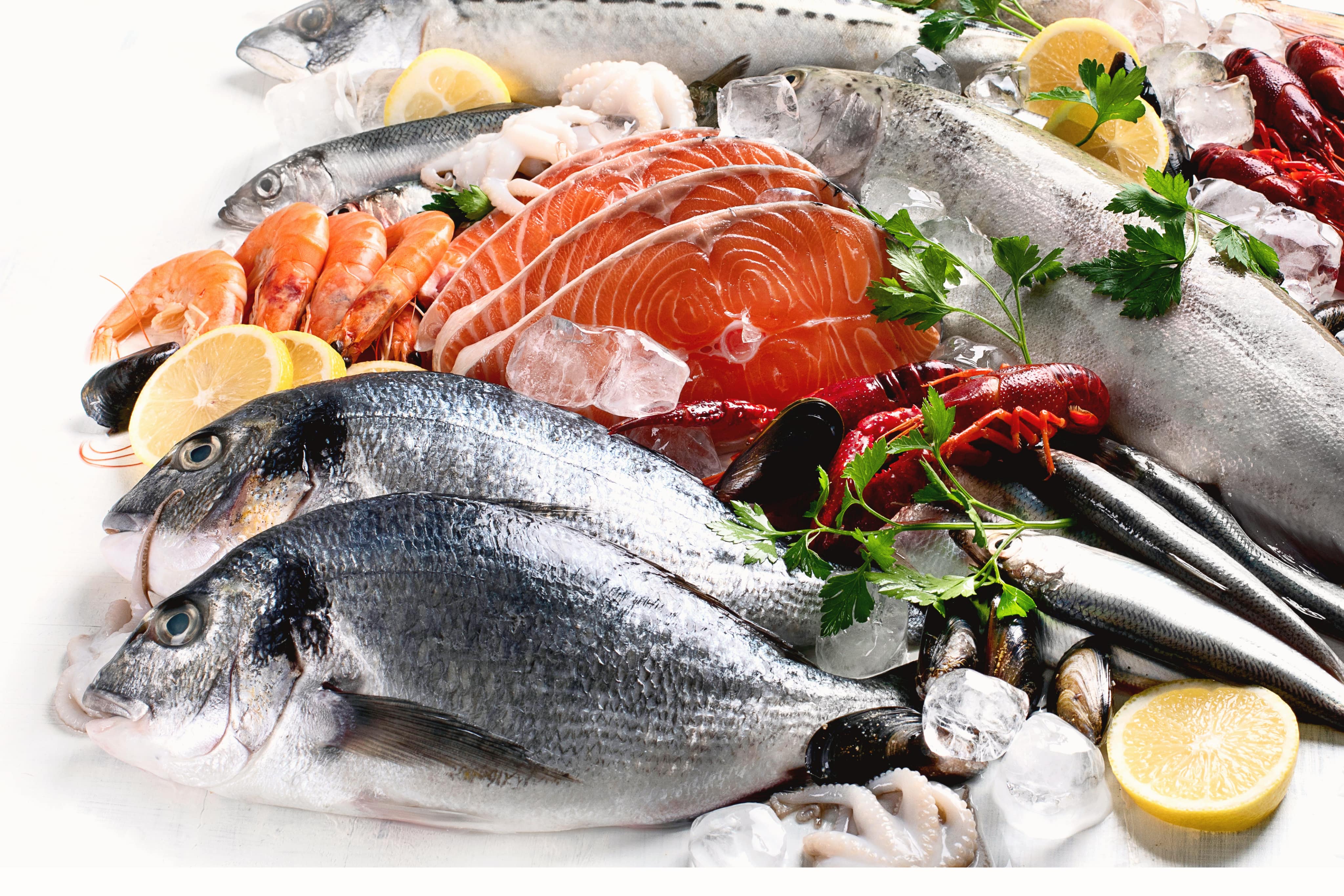 Seafood & Fishery